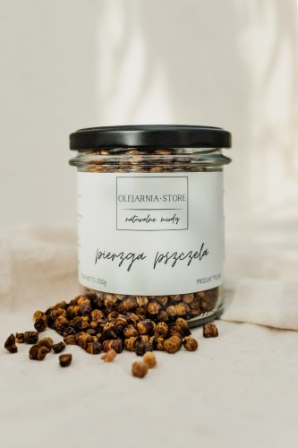 pierzga pszczela